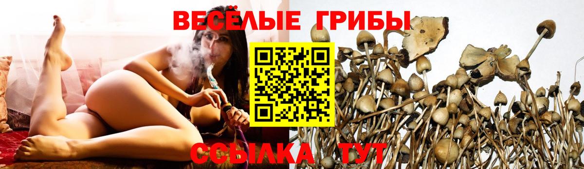 Галлюциногенные грибы Psilocybe  хочу   Вход с VPN  Стрежевой  Галлюциногенные грибы мухоморы 