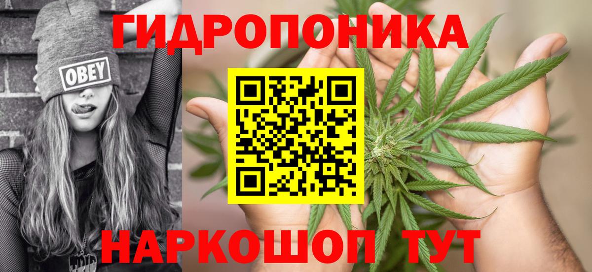 Бошки марихуана гибрид  Каннабис тримм  Вход с VPN  Стрежевой 
